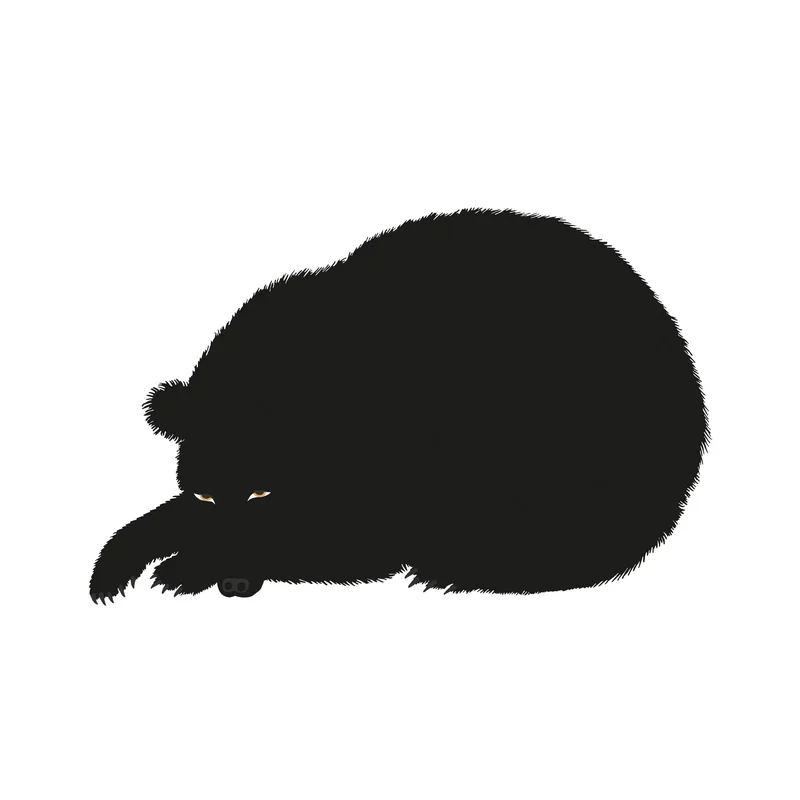 2026_06_08_3312861