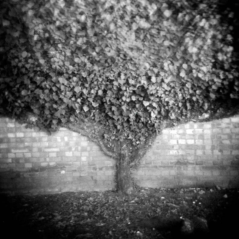 2026_06_08_3332606