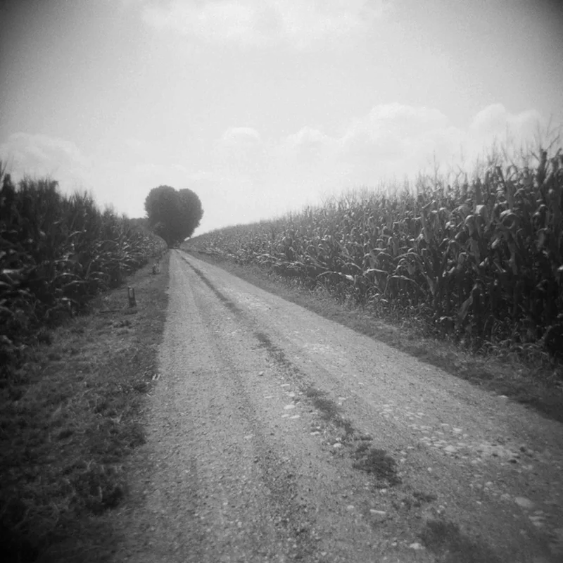 2026_06_08_3332693