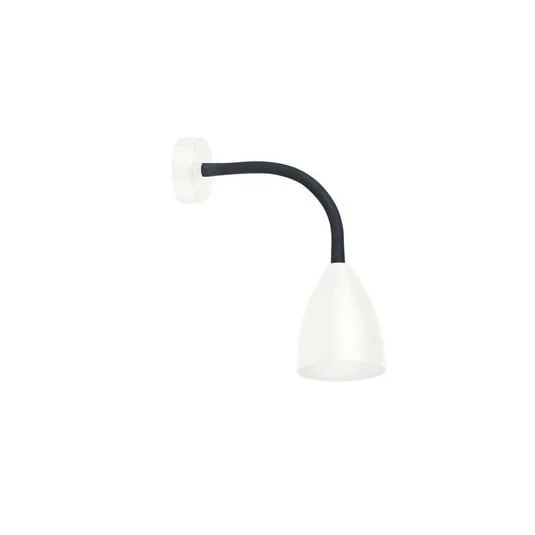 ilmaestrodellilluminazione202606081518473284147