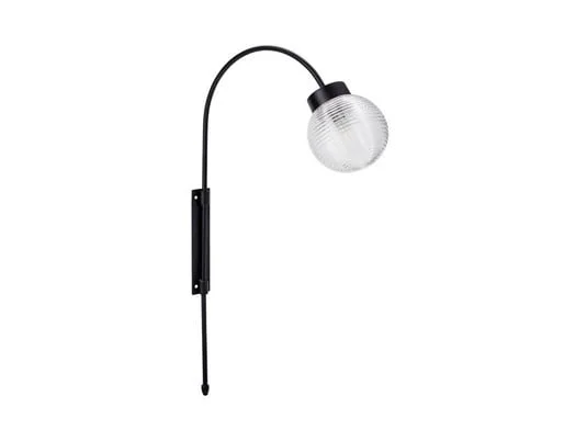 ilmaestrodellilluminazione202606081520433284563