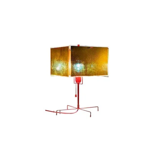 ilmaestrodellilluminazione202606081536103287836