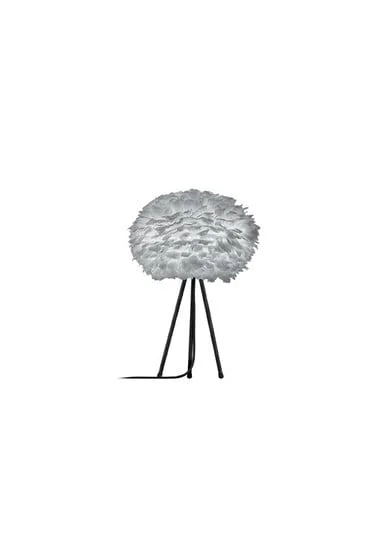 ilmaestrodellilluminazione202606081545153289865