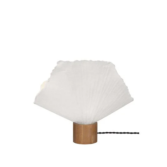 ilmaestrodellilluminazione202606081547523290435