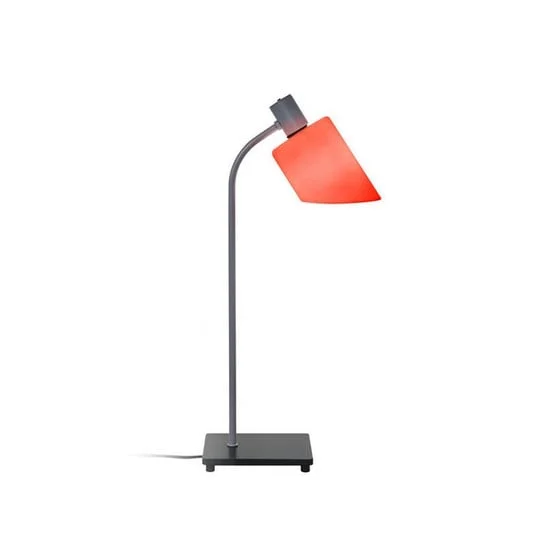 ilmaestrodellilluminazione202606081548283290558