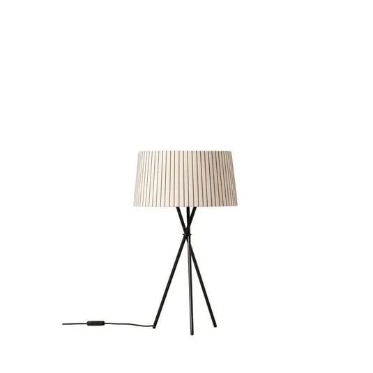 ilmaestrodellilluminazione202606081550393291074