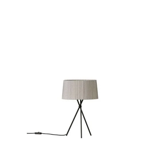 ilmaestrodellilluminazione202606081550393291079