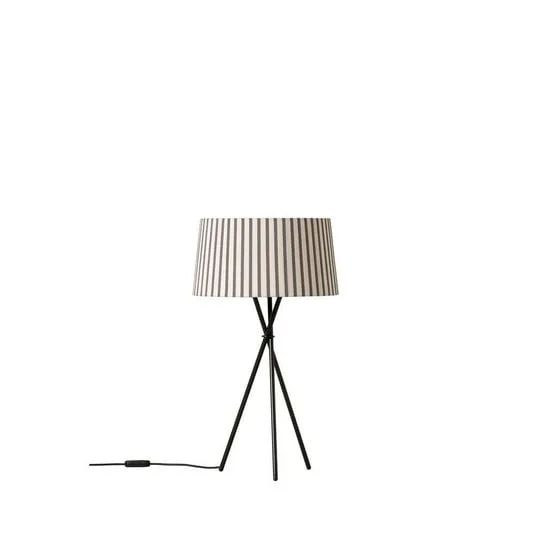 ilmaestrodellilluminazione202606081554233291864