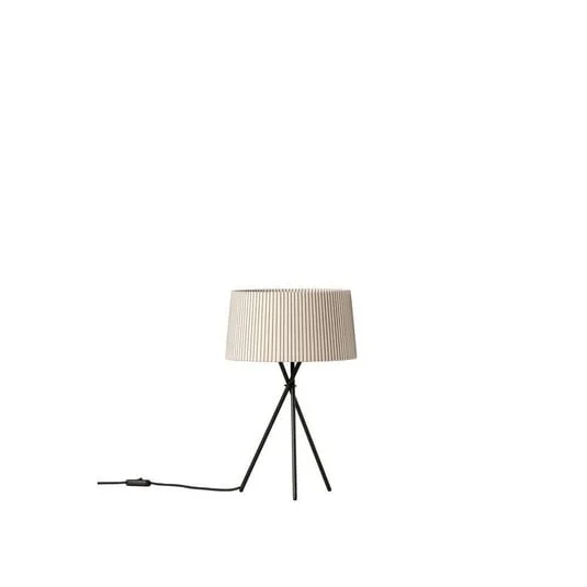 ilmaestrodellilluminazione202606081555443292148