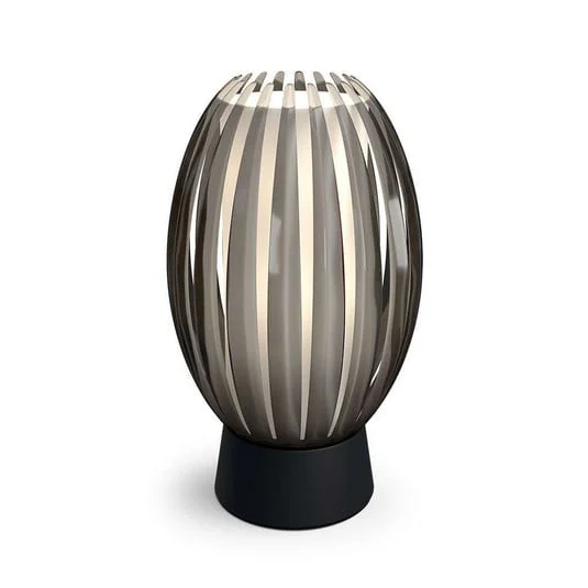 ilmaestrodellilluminazione202606081556203292276