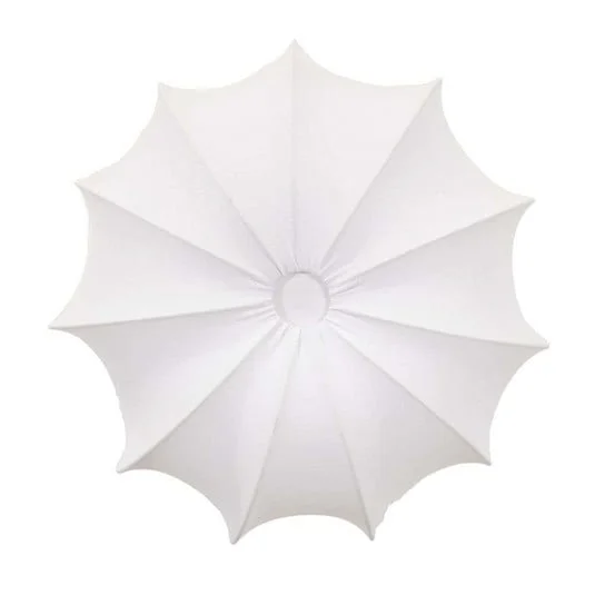 ilmaestrodellilluminazione202606081606543294707