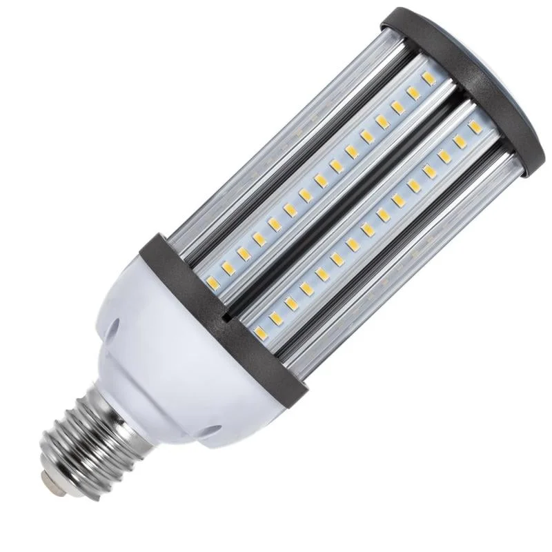 ledkia202606081444413276558