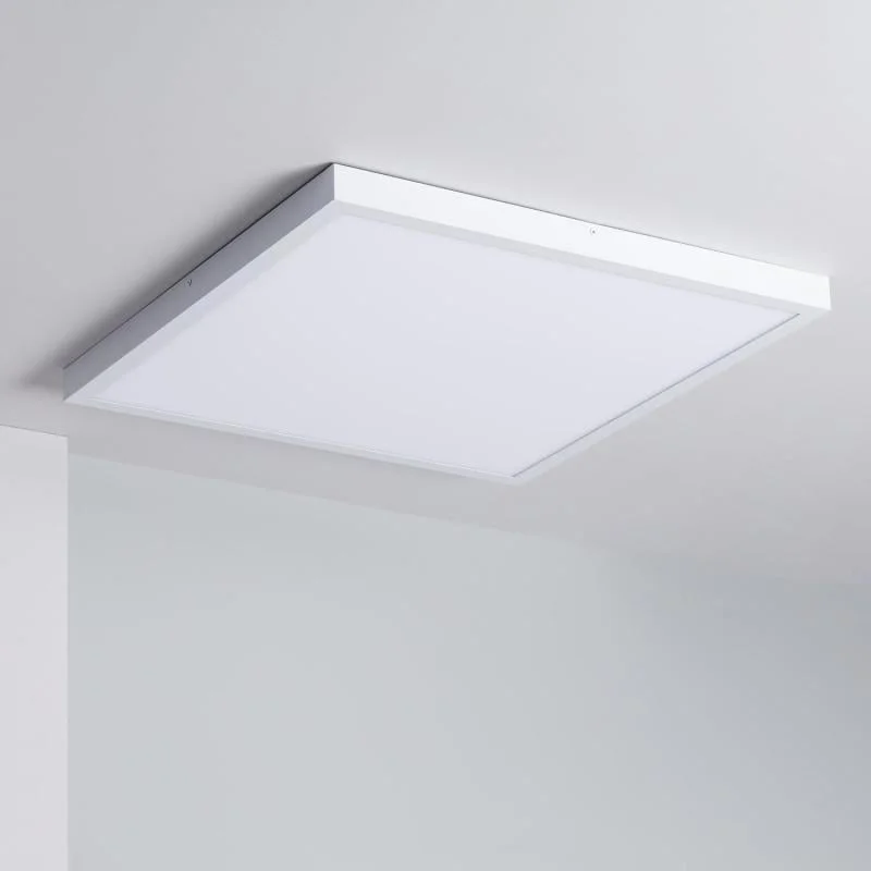 ledkia202606081445303276765