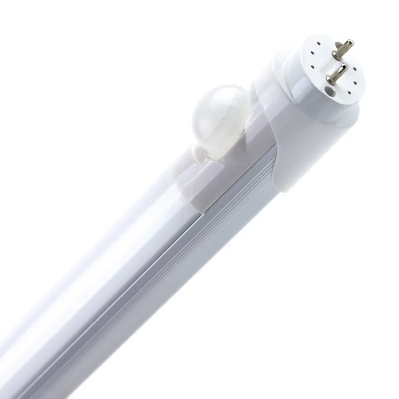 ledkia202606081447503277270