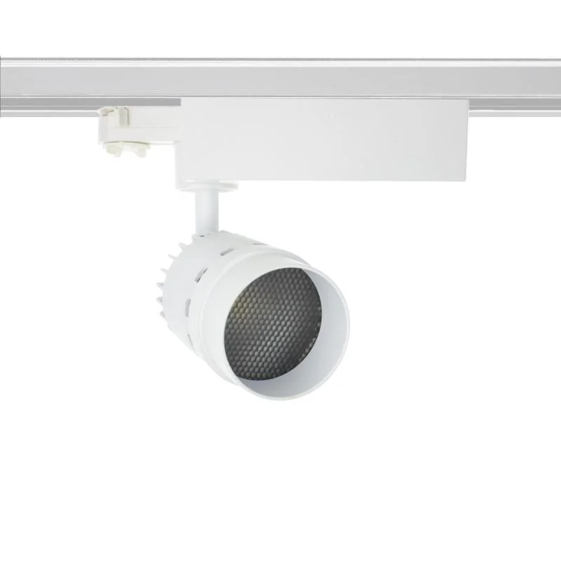 ledkia202606081448193277367