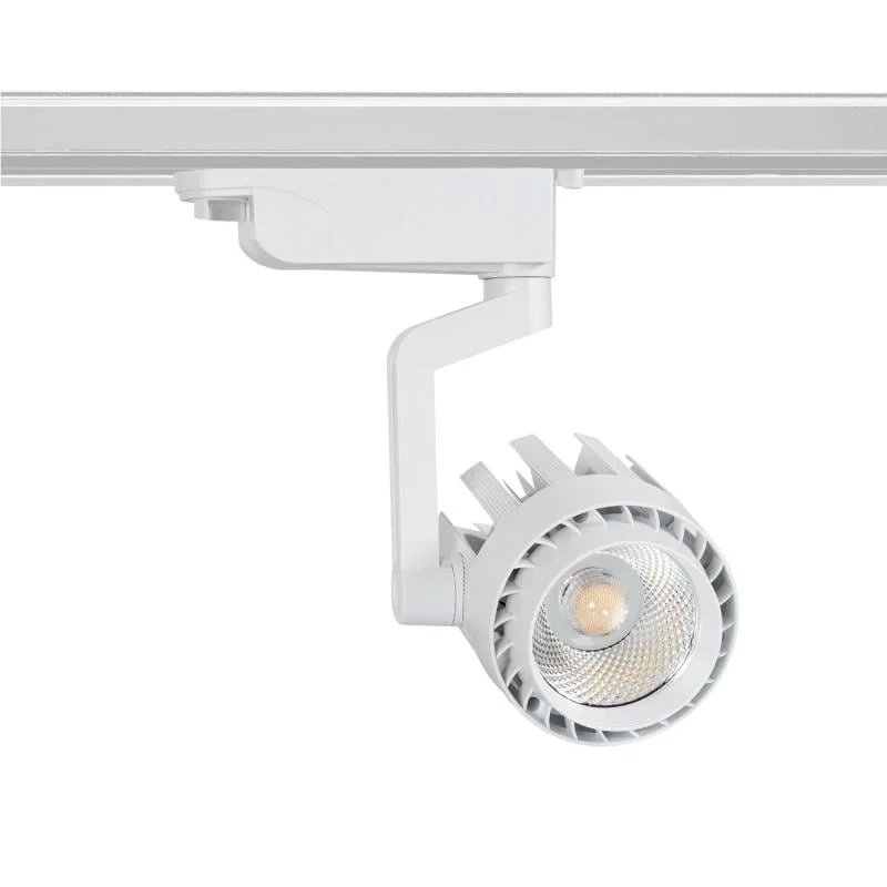 ledkia202606081459223279813