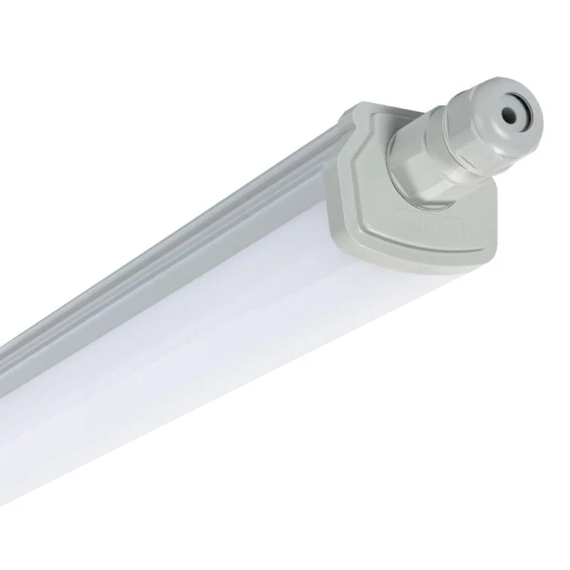 ledkia202606081507113281503