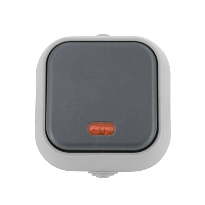 ledkia202606081508363281821
