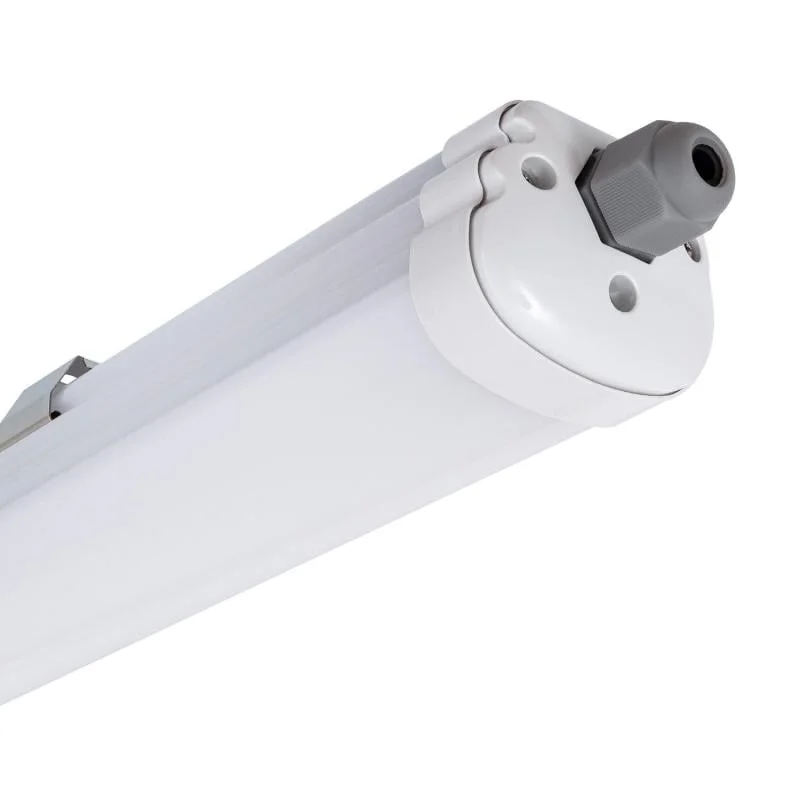 ledkia202606081531503286935