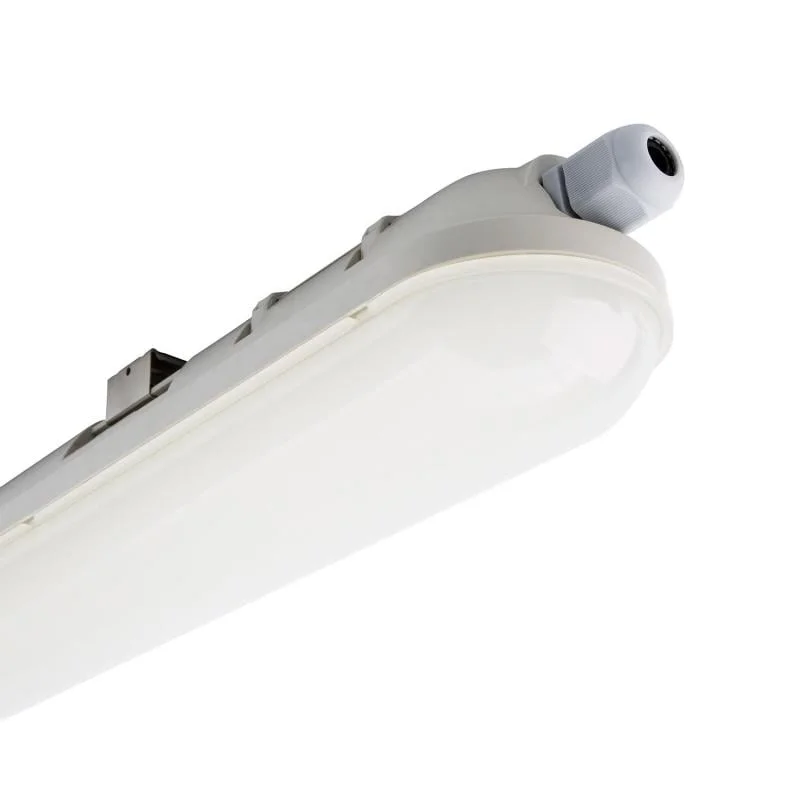 ledkia202606081532583287171