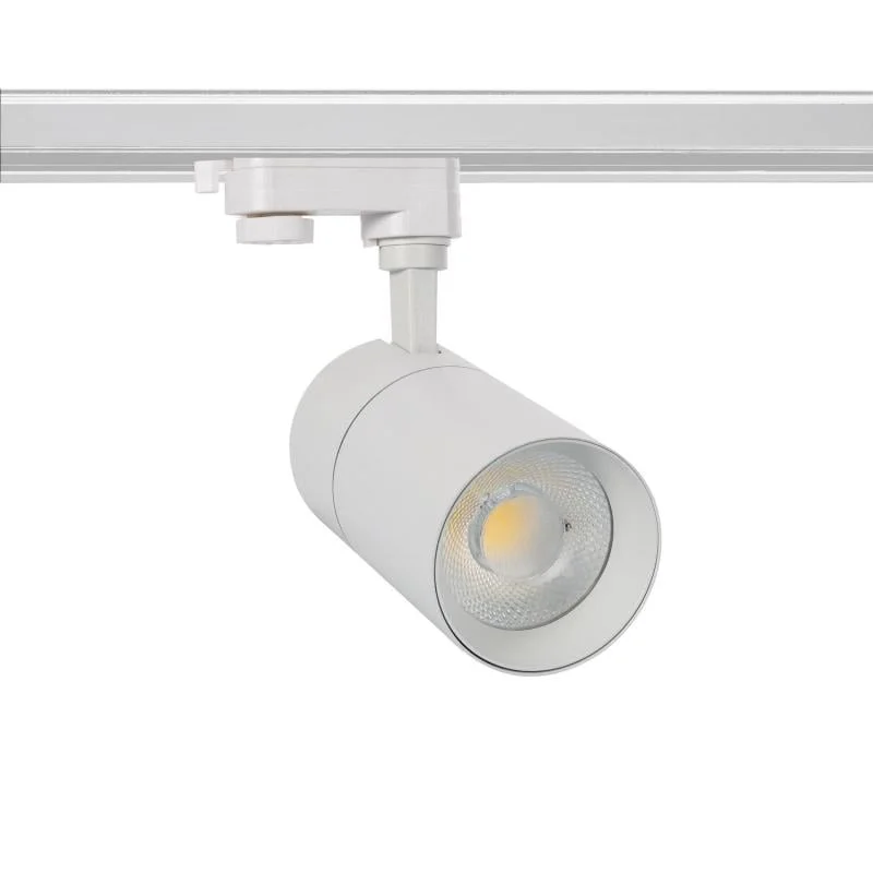ledkia202606081535343287710