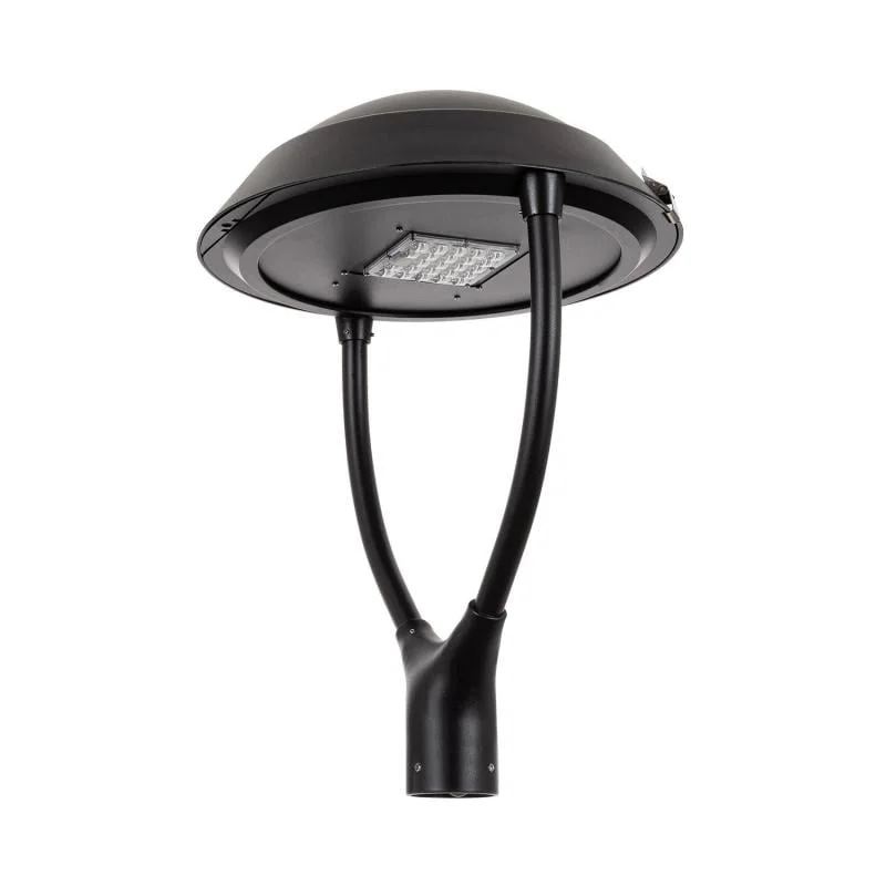 ledkia202606081606563294715