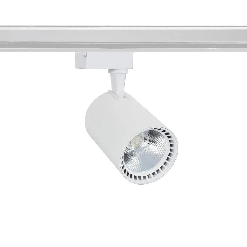 ledkia202606081610153295067
