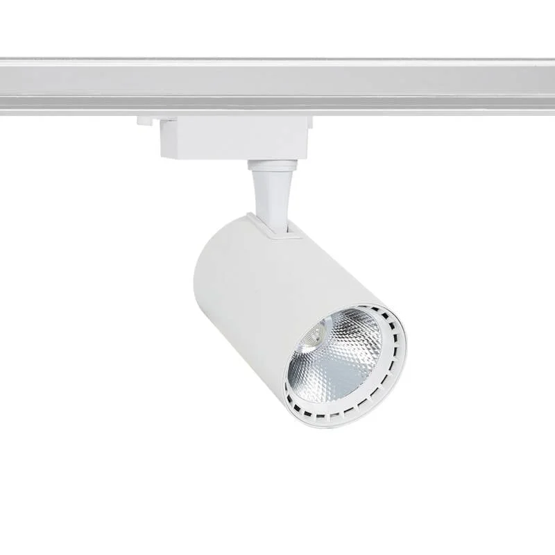 ledkia202606081610343295078