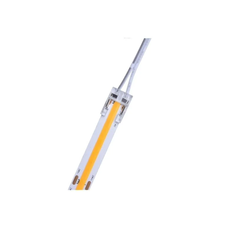 ledkia202606081712053295482