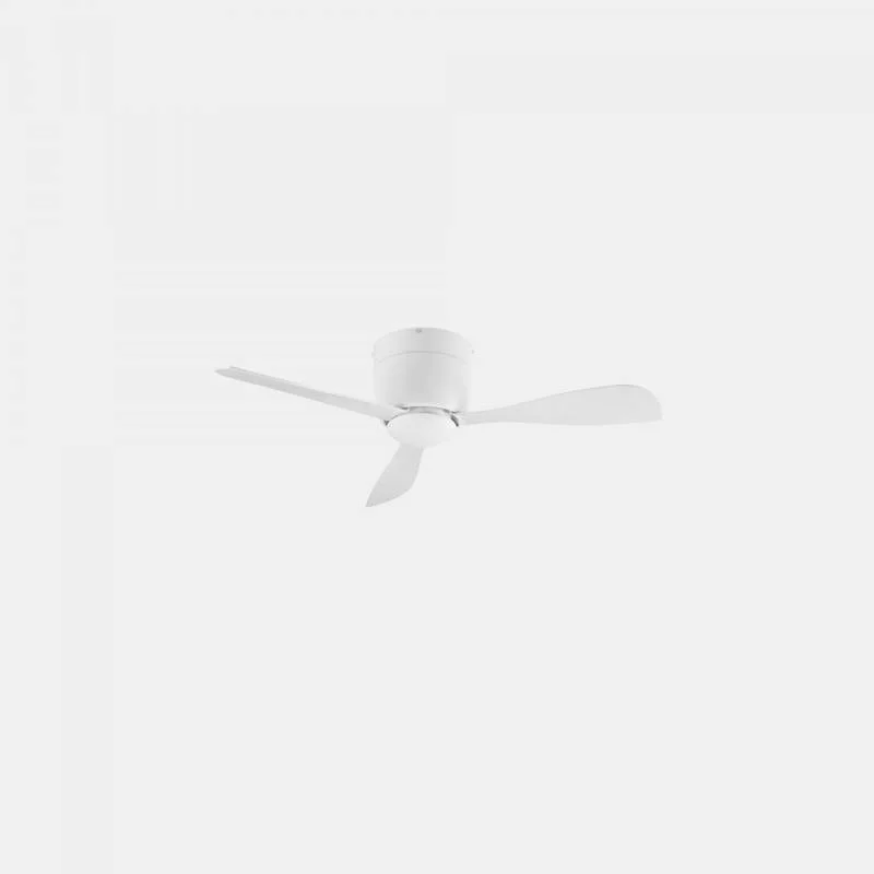 ledkia202606081718213296572