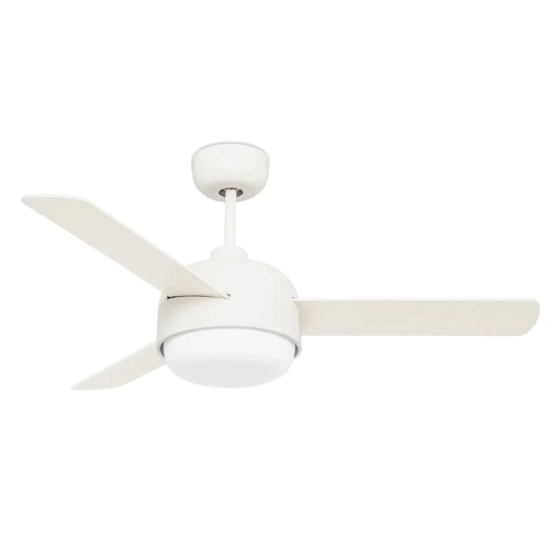 ledkia202606081718323296605