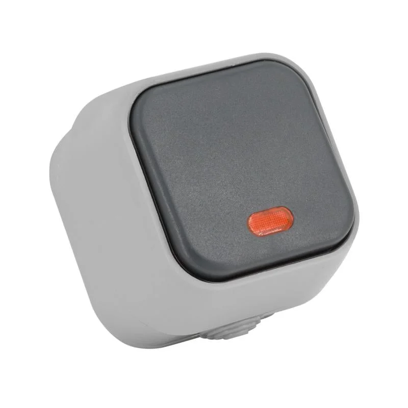 ledkia202606081719063296697