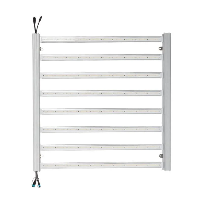 ledkia202606081726353297928