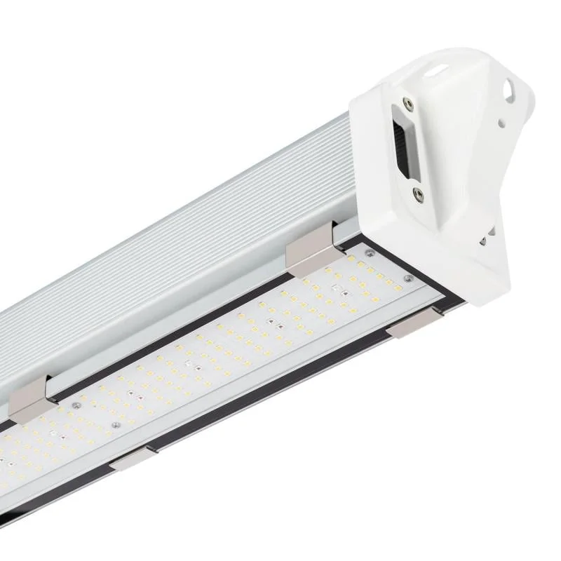 ledkia202606081726353297929