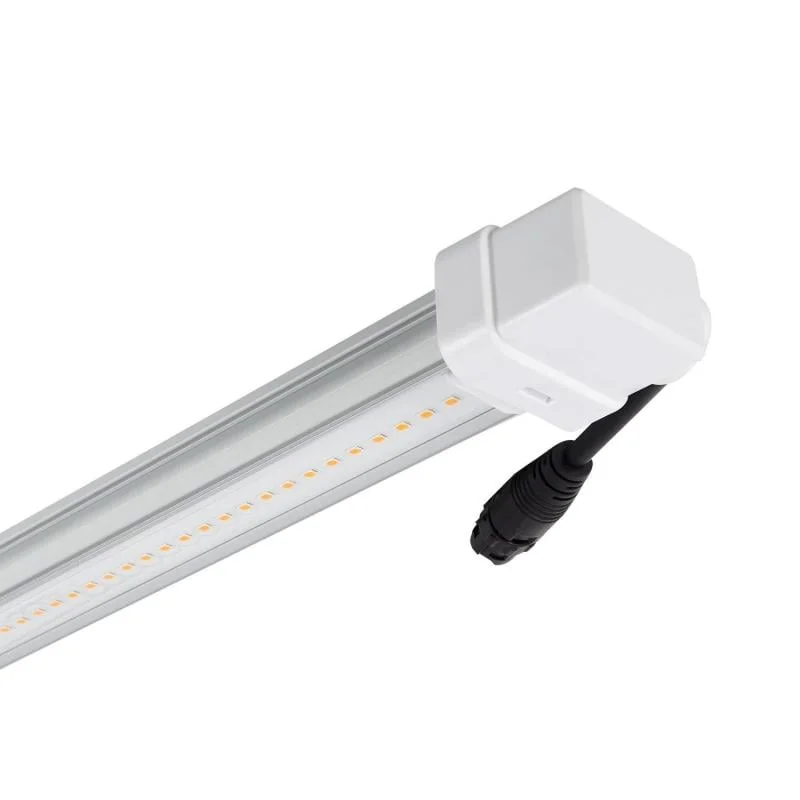 ledkia202606081726423297949