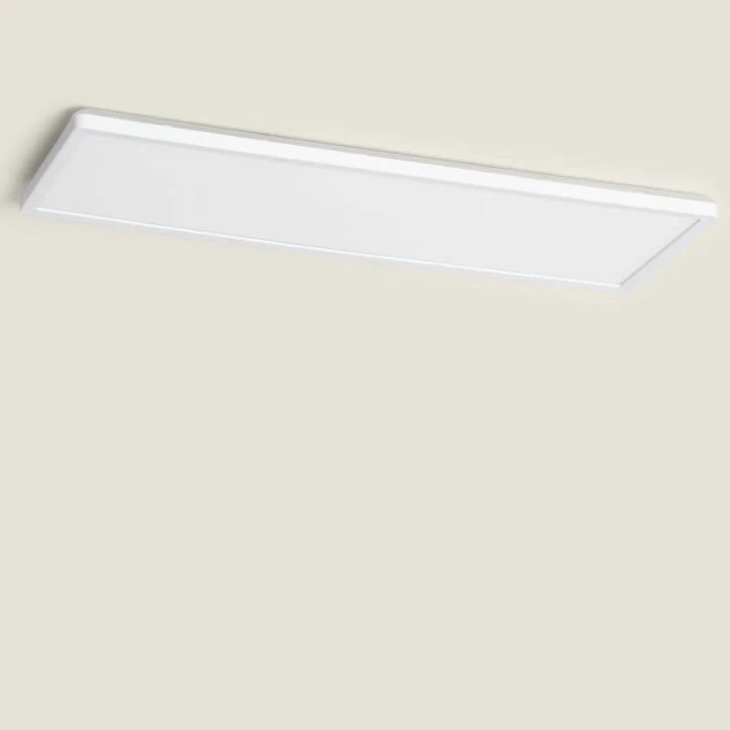 ledkia202606081738263300275