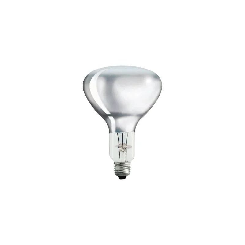 ledkia202606081758453304774