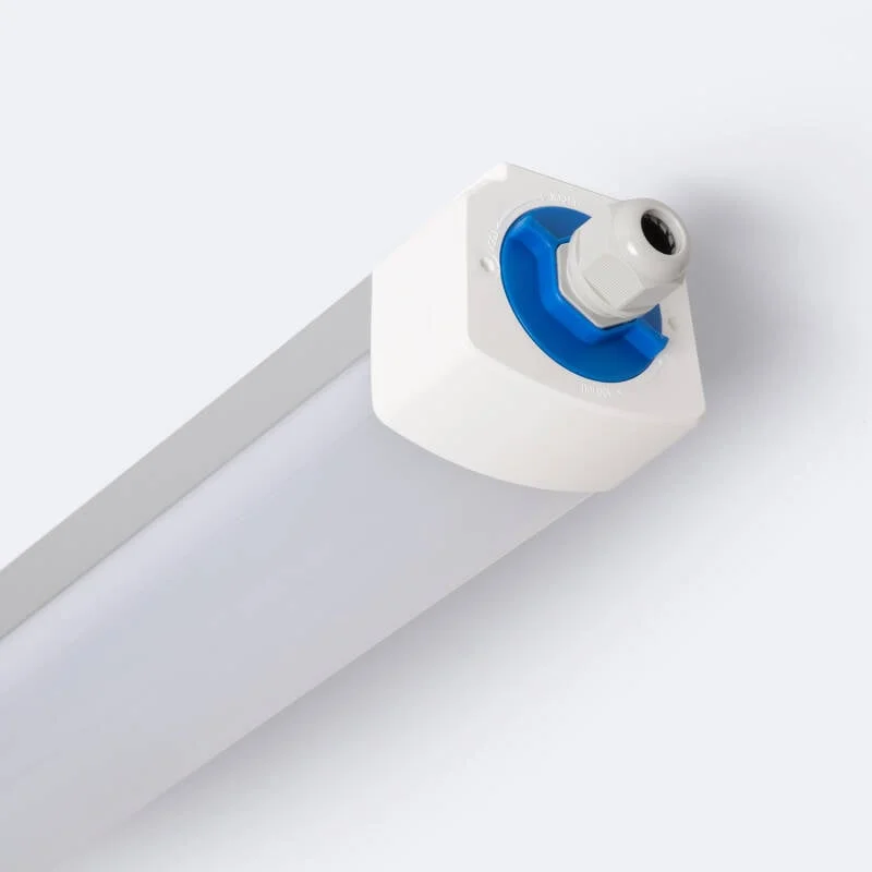ledkia202606081800203305127