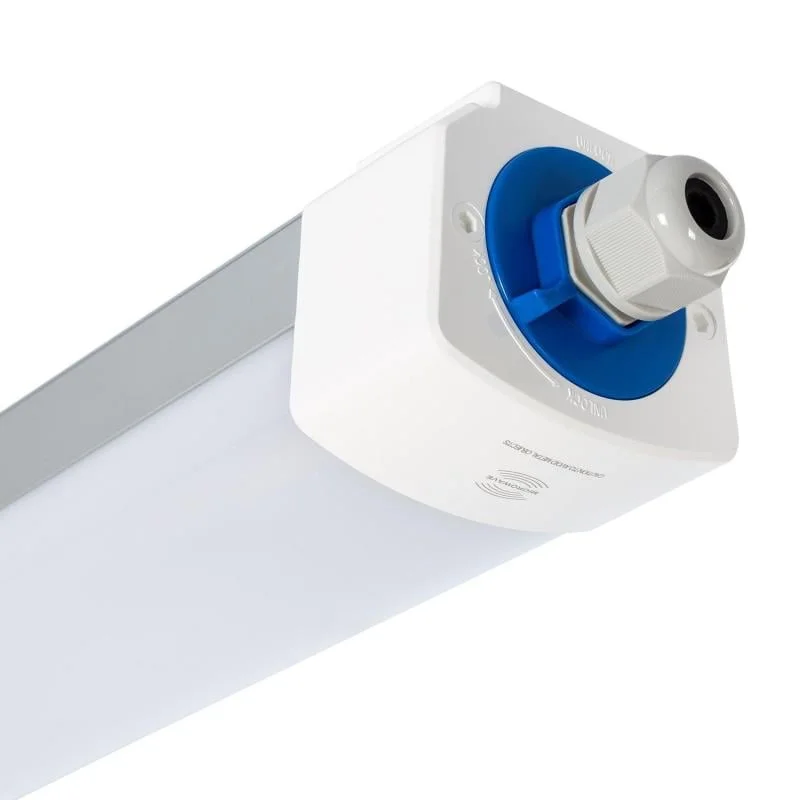 ledkia202606081800213305132