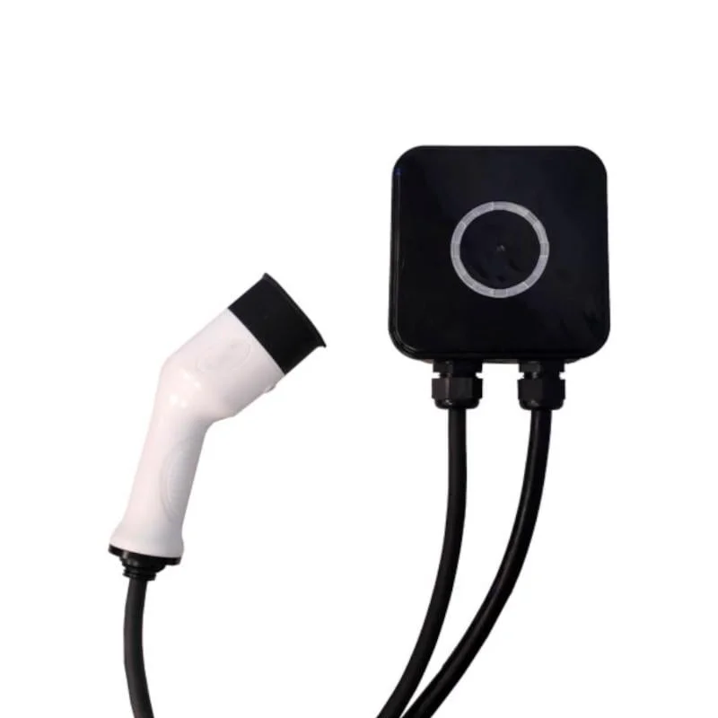 ledkia202606081803333305815
