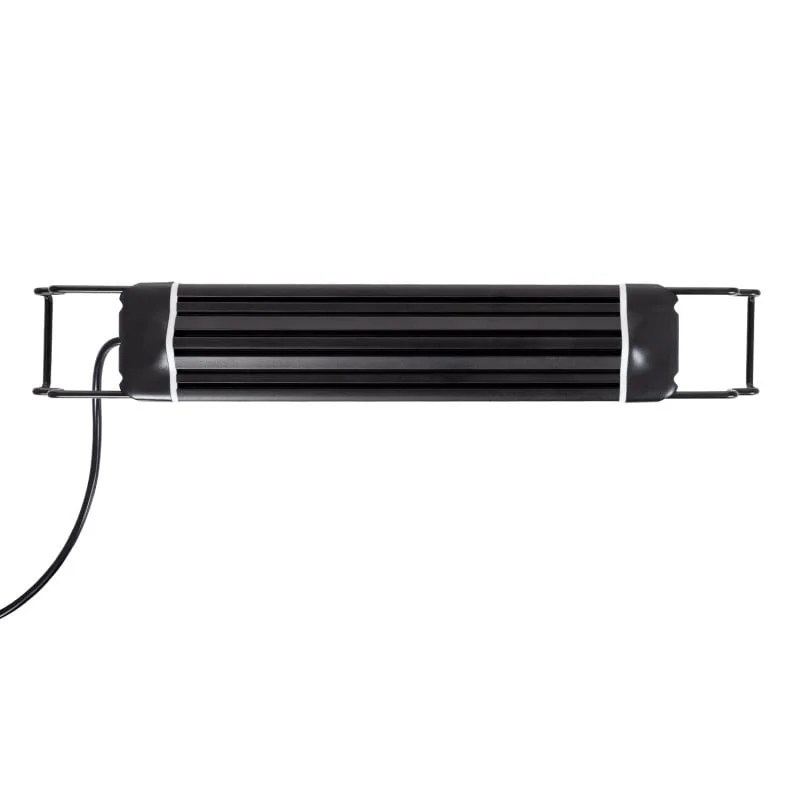 ledkia202606081807333306685