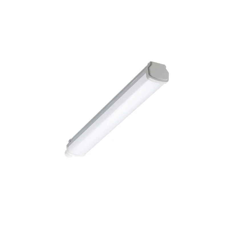 ledkia202606081809293307083