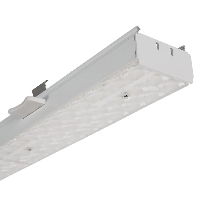 ledkia202606081813483308077