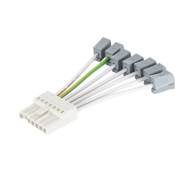 ledkia202606081814143308178