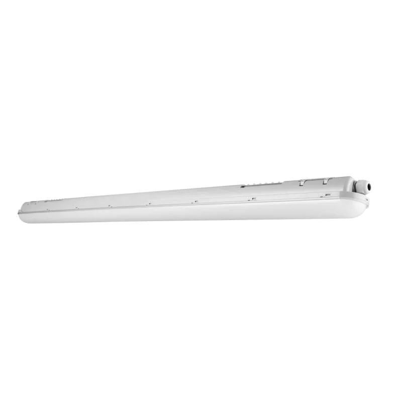 ledkia202606081819193309356
