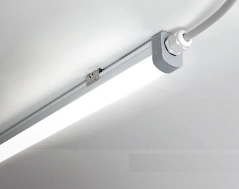 ledkia202606081819313309403