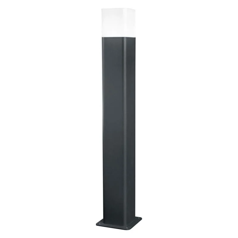 ledkia202606081824243310462