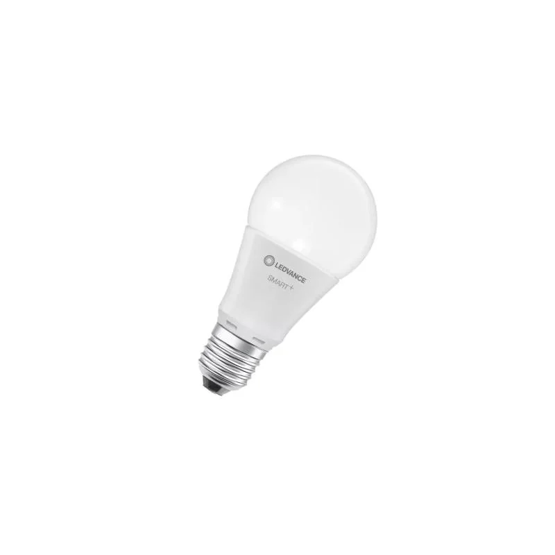 ledkia202606081828363311403