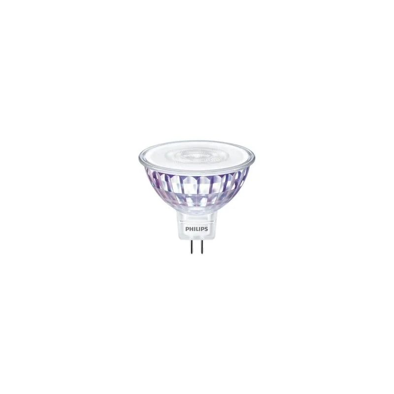 ledkia202606081832493312345