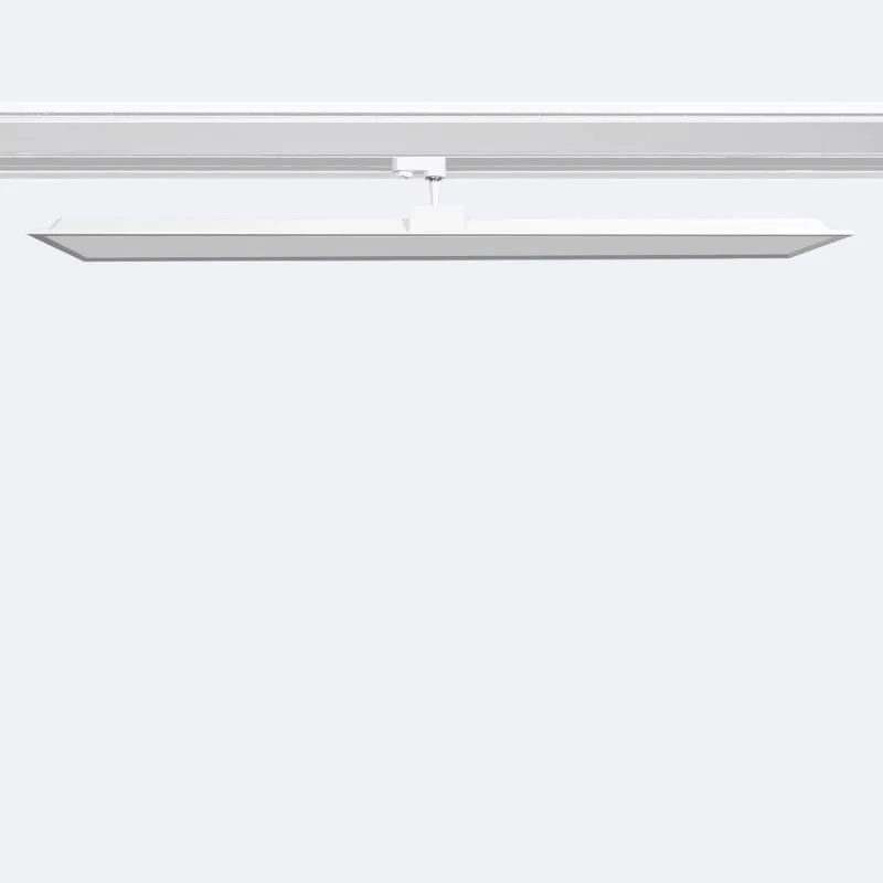 ledkia202606081841413314244